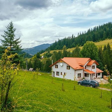 Khata Lisnyka Verkhovyna Dış mekan fotoğraf