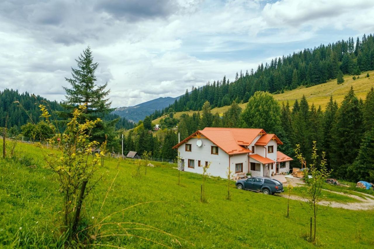 Khata Lisnyka Verkhovyna Dış mekan fotoğraf