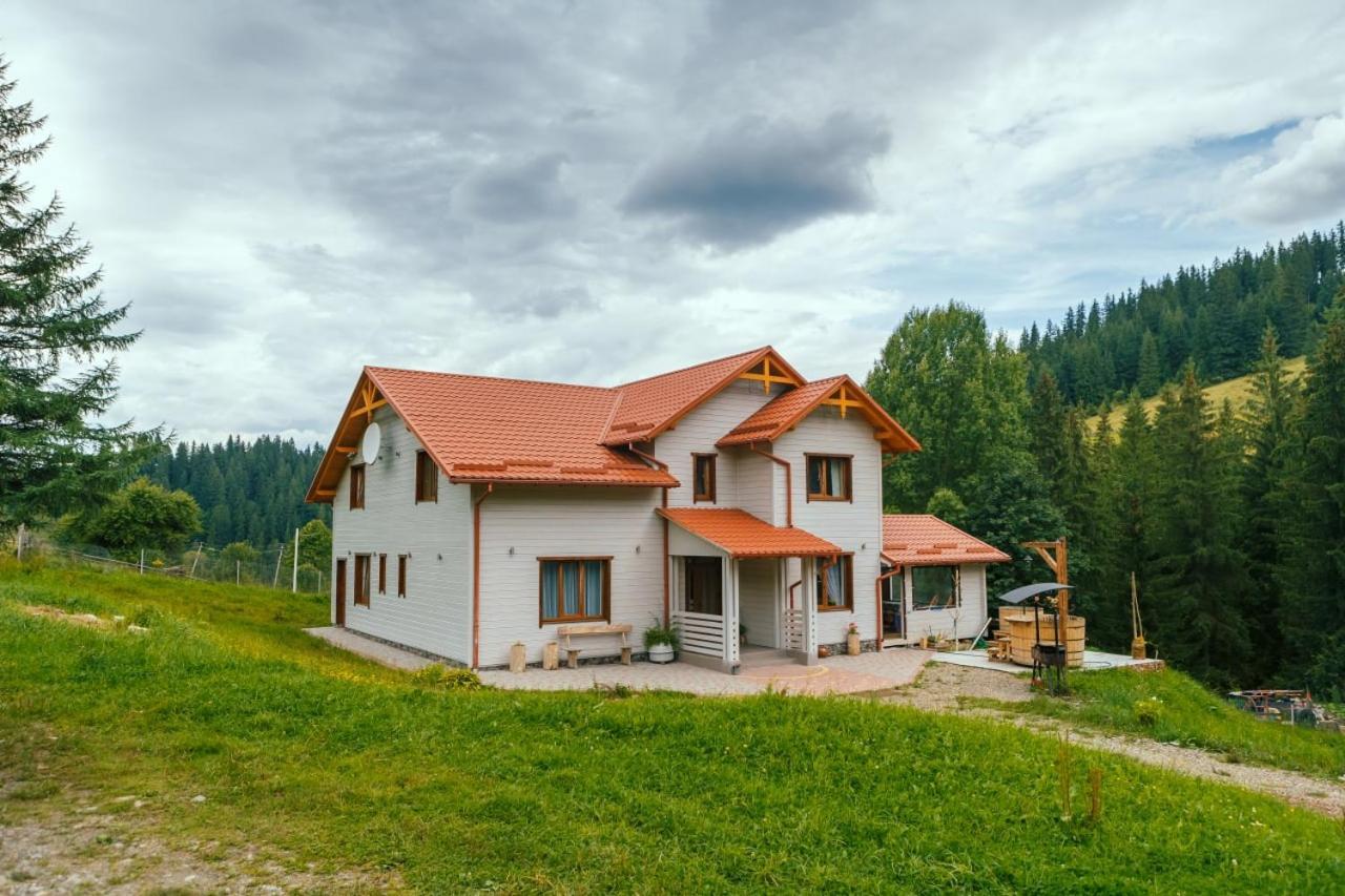 Khata Lisnyka Verkhovyna Oda fotoğraf